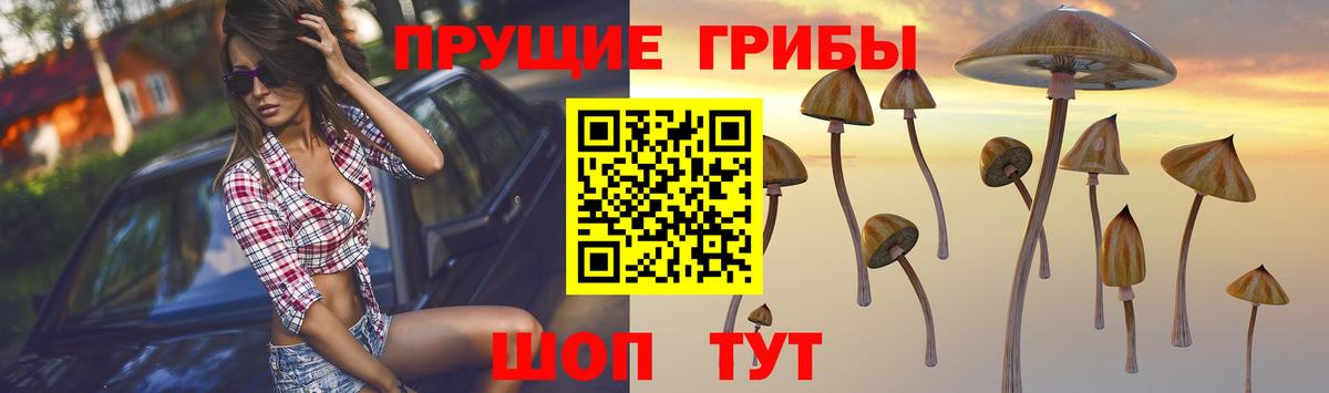 Туймазы  Псилоцибиновые грибы Cubensis  Вход с VPN 